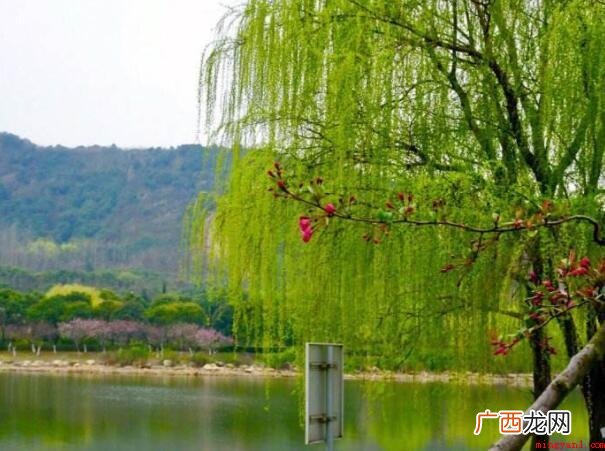 春风一拂千山绿下句是什么