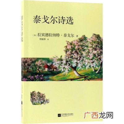 泰戈尔诗集有哪些,泰戈尔，出版过什么诗？