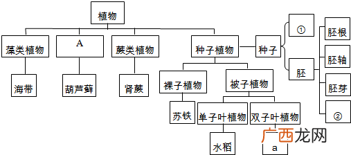 普通生物学的概念定义,什么是个体生物？
