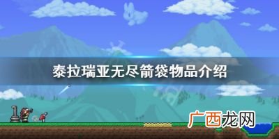 泰拉瑞亚无尽箭袋能升级吗,泰拉瑞亚无尽箭袋配合什么好？