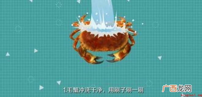 怎么制作螃蟹粥的内容介绍 怎么制作螃蟹粥