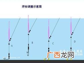 什么是传统钓法什么是台钓法,为什么传统钓鲫鱼比台钓个头大？