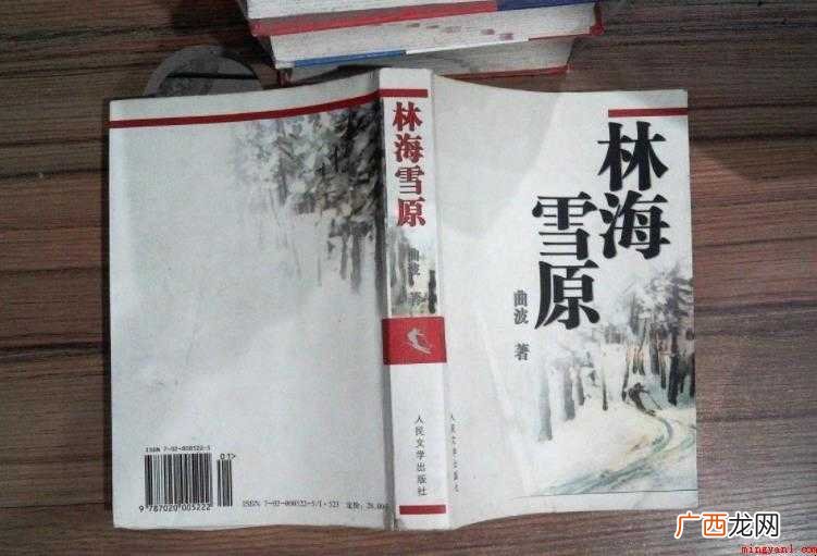《林海雪原》小说简介是什么