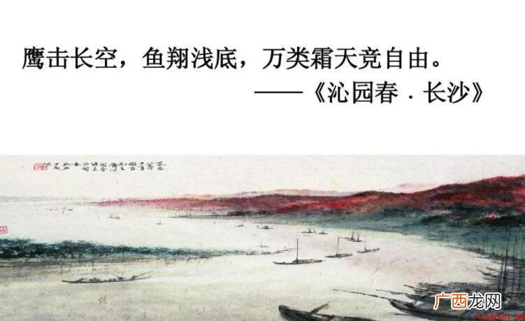 万类霜天竞自由是什么意思