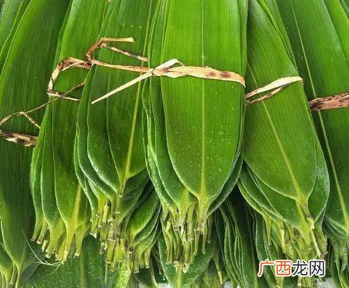 海南粽子叶是什么叶子,山东粽叶是什么植物？