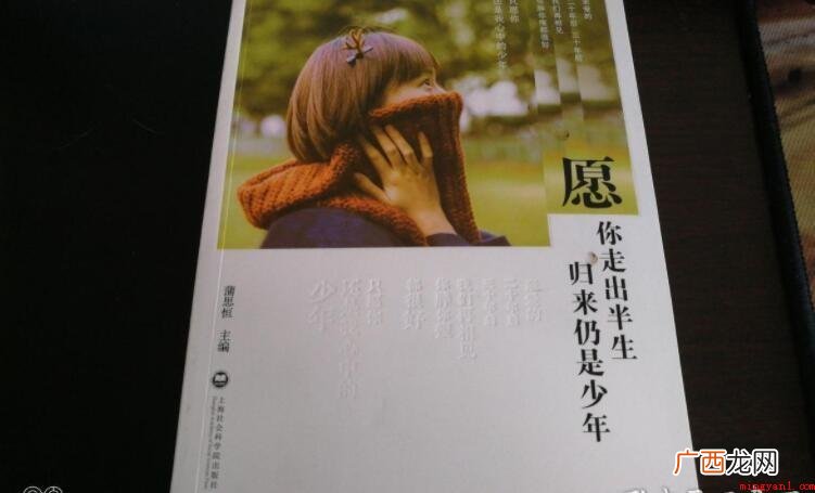 《愿你走出半生，归来仍是少年》的内容简介是什么
