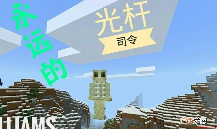 光杆司令是什么意思呢? 光杆司令是什么意思