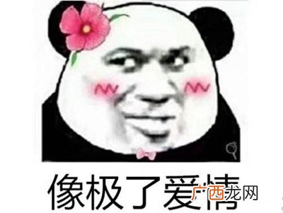 害是什么意思饭圈,王一博肖战车库三小时是什么梗？