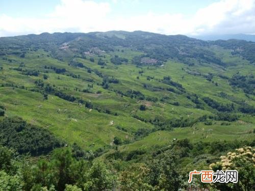 云南红河州有几个县,红河州北部七县包括哪些?