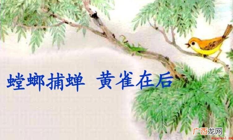 螳螂捕蝉黄雀在后意思是什么