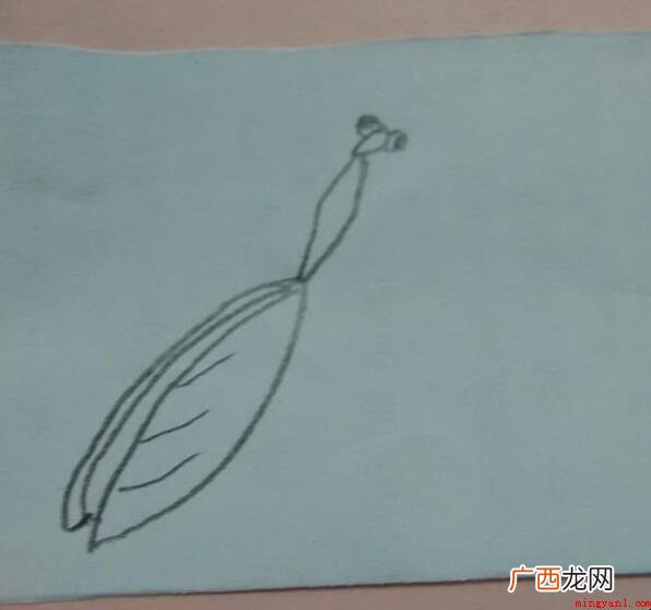 螳螂的简笔画怎么画_螳螂 螳螂的简笔画怎么画