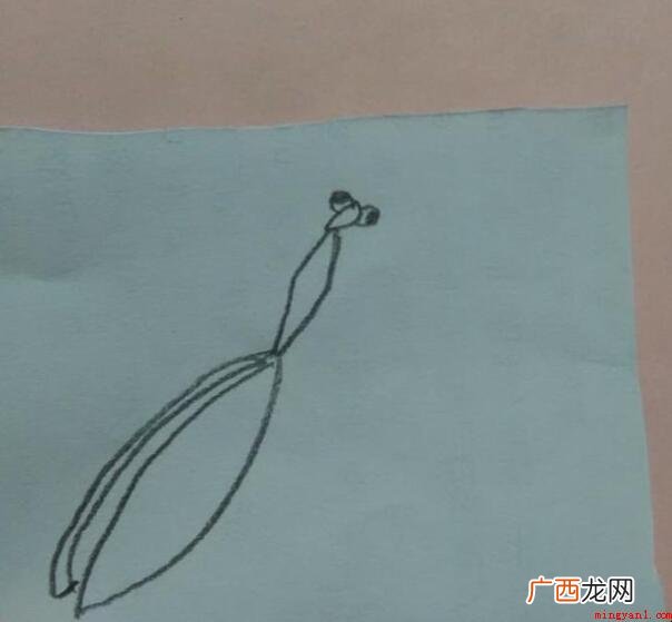 螳螂的简笔画怎么画_螳螂 螳螂的简笔画怎么画