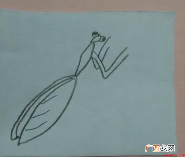 螳螂的简笔画怎么画_螳螂 螳螂的简笔画怎么画