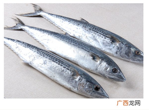 鲐鱼和鲅鱼区别,台鲅和鲅鱼区别？