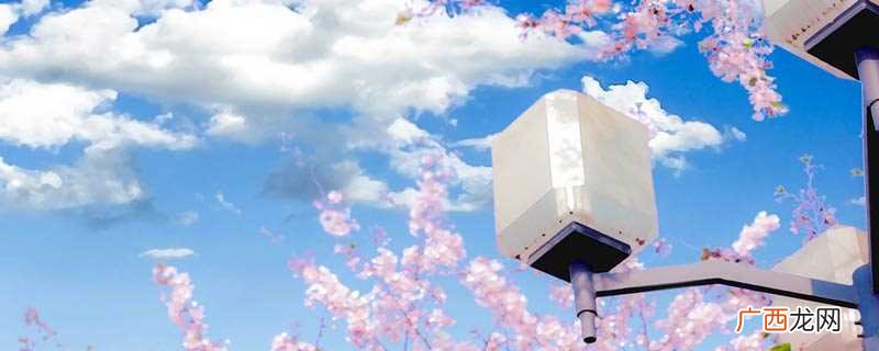 五月的别称和雅称有鸣蜩、午月、端阳、蒲月等
