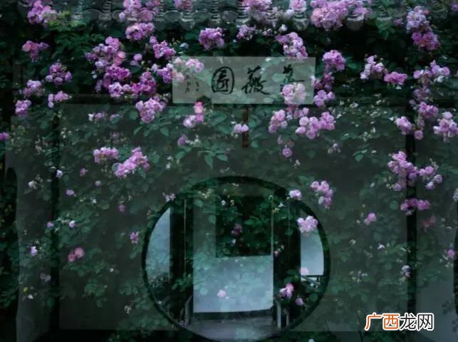卜落卜落是什么意思,什么落什么落四字成语？