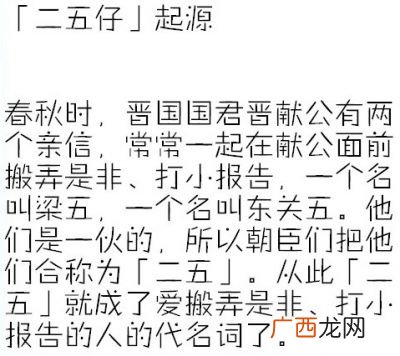 二五仔广东话什么意思,小二五仔什么意思？
