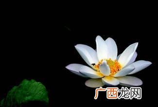 缅怀用于什么人,缅怀能用于普通人吗？