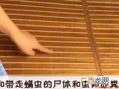 席子怎样洗才干净