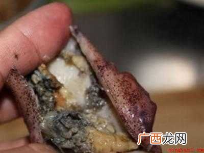 小鱿鱼怎么处理