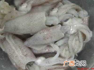 小鱿鱼怎么处理