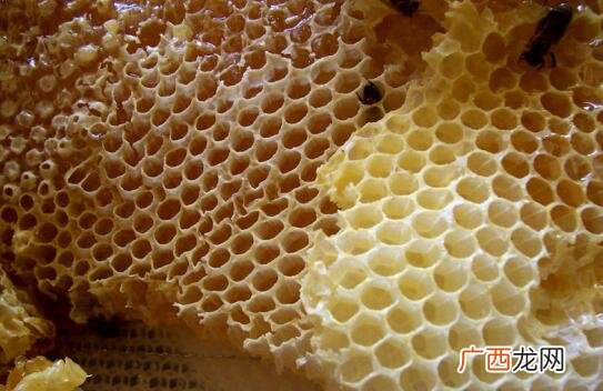 蜂巢是什么呢,蜂巢是几边形组成的?