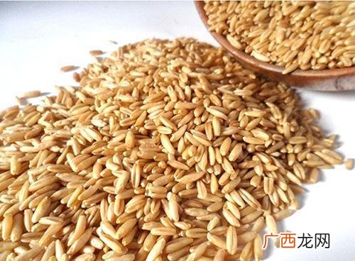 大麦是什么,燕麦,小麦,荞麦,大麦,麦仁各有什么区别?