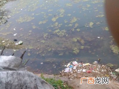 蒲阳是现在的哪里,都江堰适合野炊的地方?