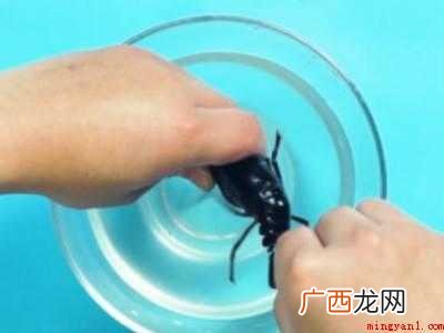 怎么炒龙虾好吃又简单的做法