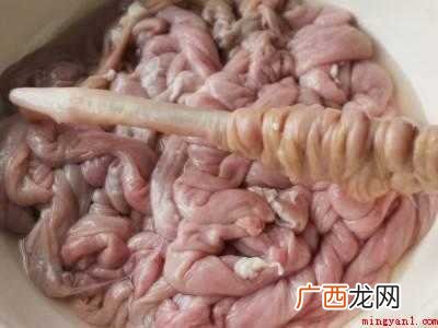 苦肠怎么清洗