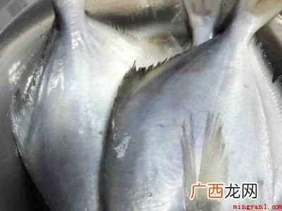 白仓鱼怎么做好吃