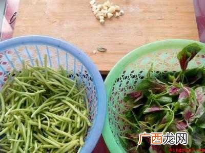 马苋菜怎么吃