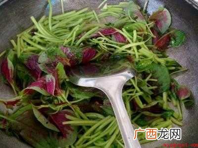 马苋菜怎么吃