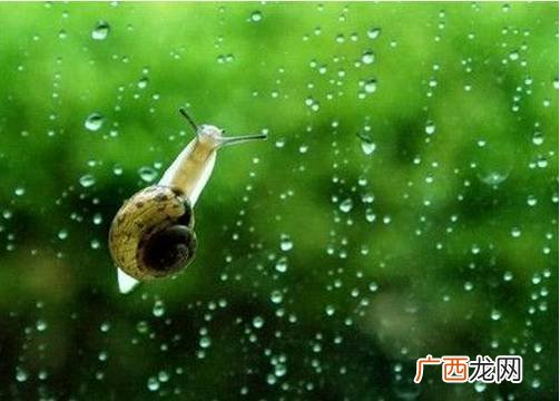 春天的节气有哪几个,你知道春天有哪些季节吗请写下来？
