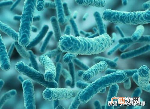 鲍曼不动杆菌是什么菌,世界最毒的十大微生物？