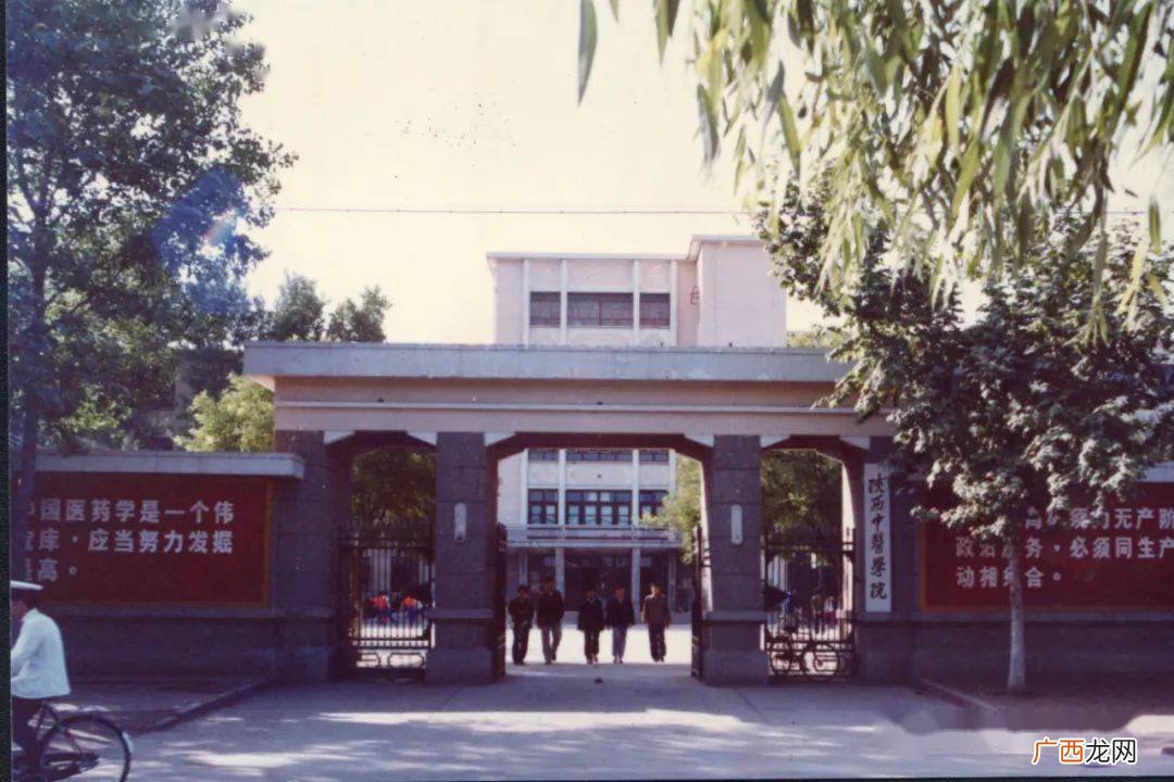 学校里有什么建筑物,学校里有哪些工作？