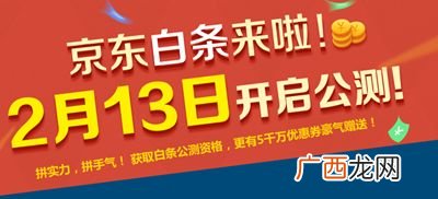 京东的白条是什么东西,京东白条是什么？