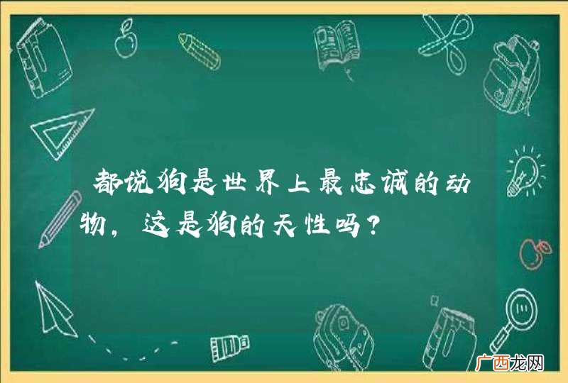 都说狗是世界上最忠诚的动物，这是狗的天性吗？