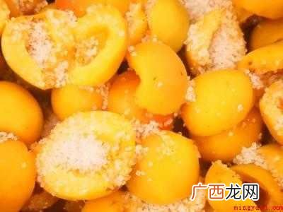 怎么做杏干