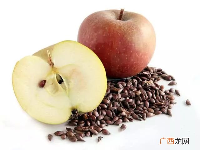 苹果籽怎么种,苹果籽一直泡在水里能种出苹果或苹果树吗?我一天给它换一次新的水？