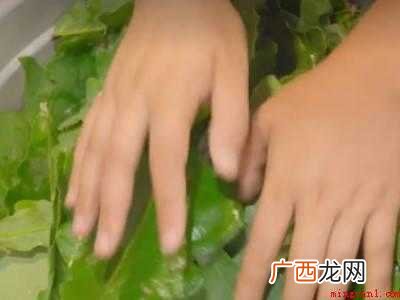 新手怎么学包粽子
