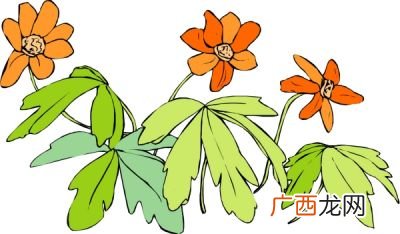 描写花草树的成语各4个,写花美丽的四字词语？