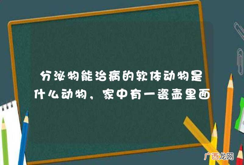 分泌物能治病的软体动物是什么动物，家中有一瓷壶里面装了一个奇怪的软体生物，圆圆的一层一层的，乳白色