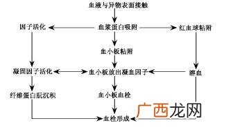 等离子体的应用,等离子表面处理是什么原理？