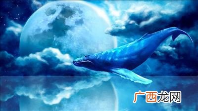 一鲸落万物生是什么意思,鲸起万物生是什么意思？