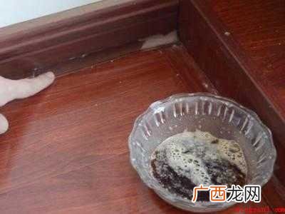 怎么消灭蟑螂