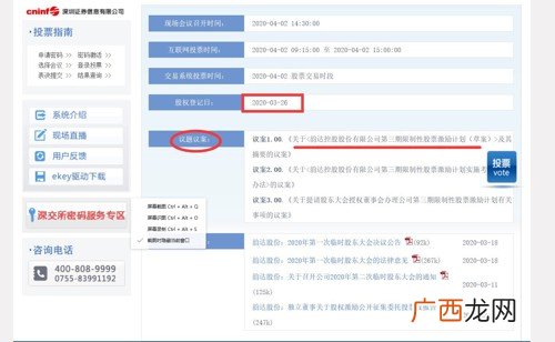 如何进行网络投票,上市公司网络投票规则？