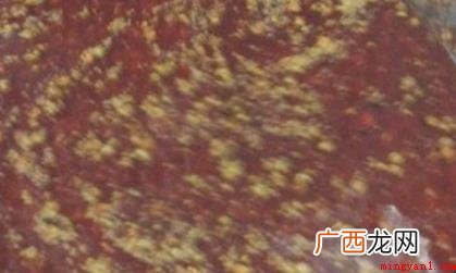 青椒鱼怎么做 教你做法简单 青椒鱼怎么做