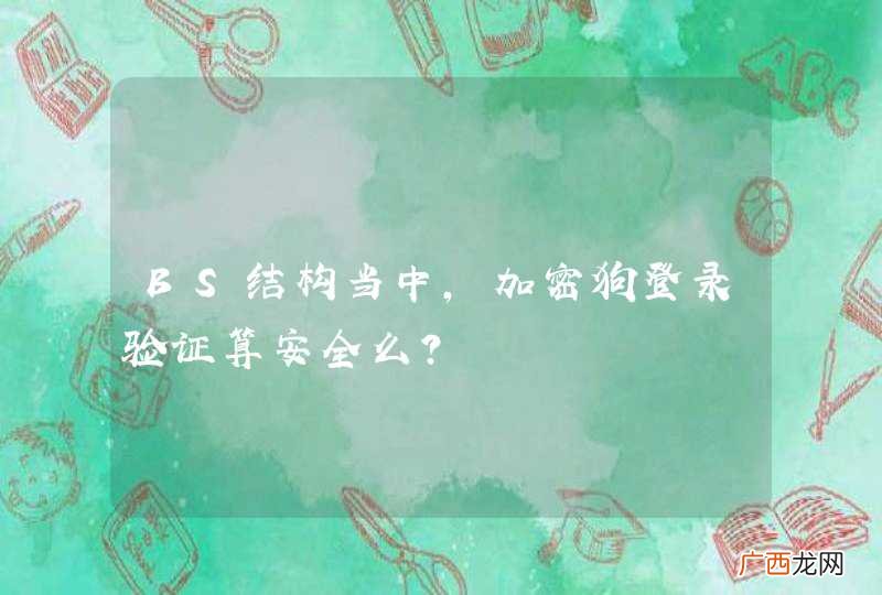 BS结构当中,加密狗登录验证算安全么?