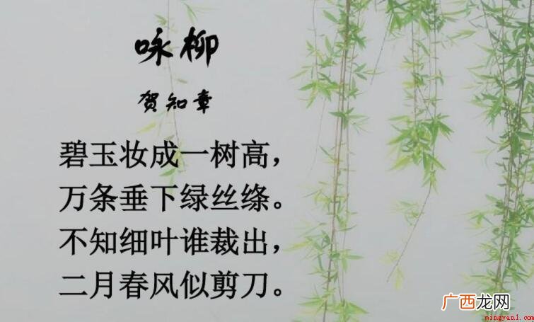 《咏柳》属于什么诗_人文频道 《咏柳》属于什么诗